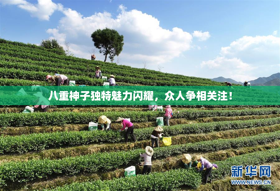 八重神子独特魅力闪耀，众人争相关注！