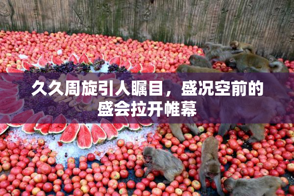 久久周旋引人瞩目，盛况空前的盛会拉开帷幕