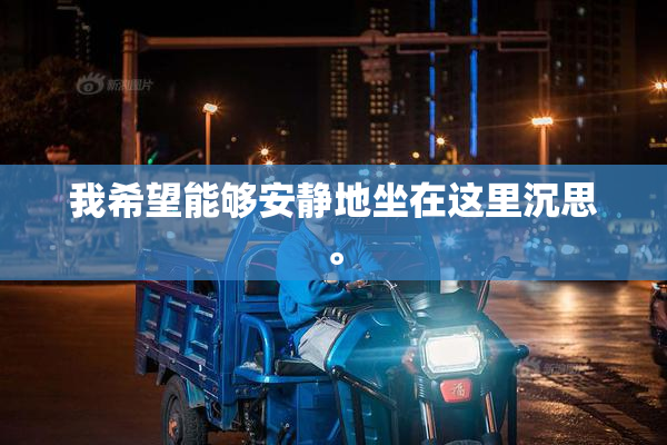 我希望能够安静地坐在这里沉思。