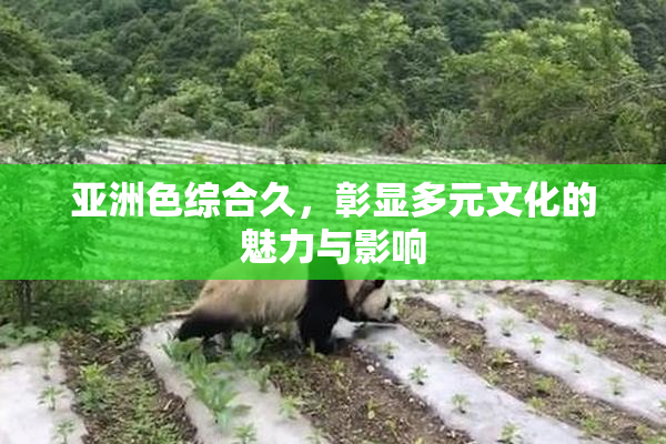 亚洲色综合久，彰显多元文化的魅力与影响