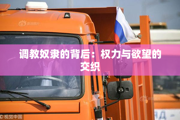 调教奴隶的背后：权力与欲望的交织