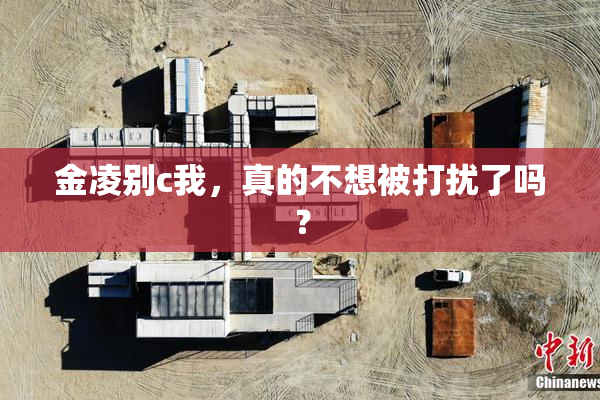 金凌别c我，真的不想被打扰了吗？