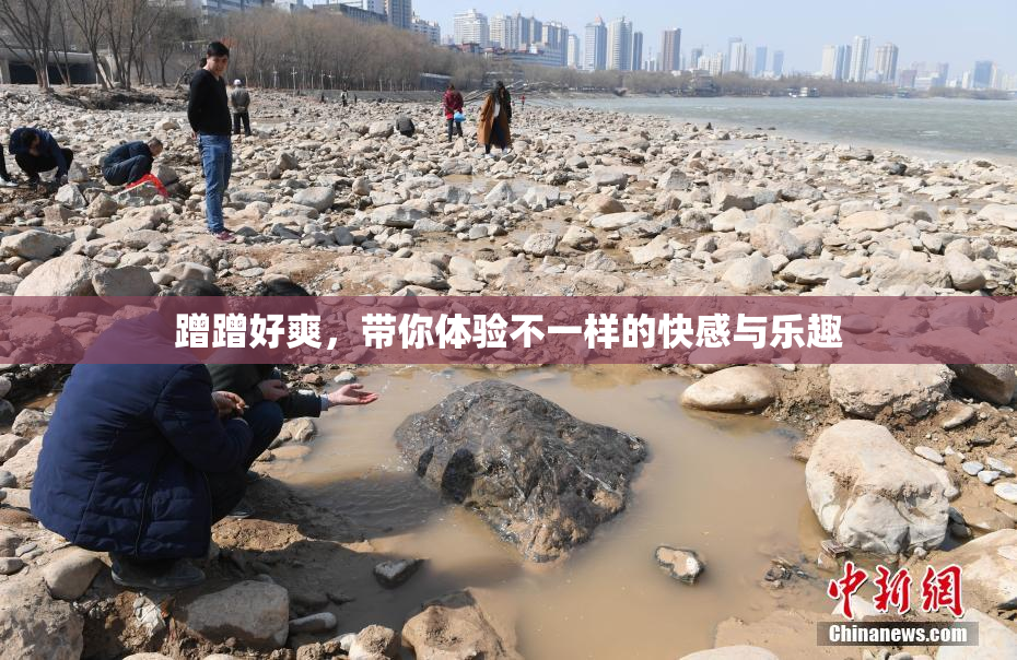 蹭蹭好爽，带你体验不一样的快感与乐趣