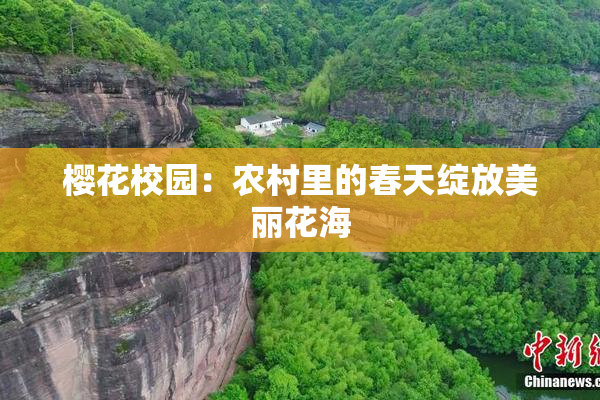 樱花校园：农村里的春天绽放美丽花海