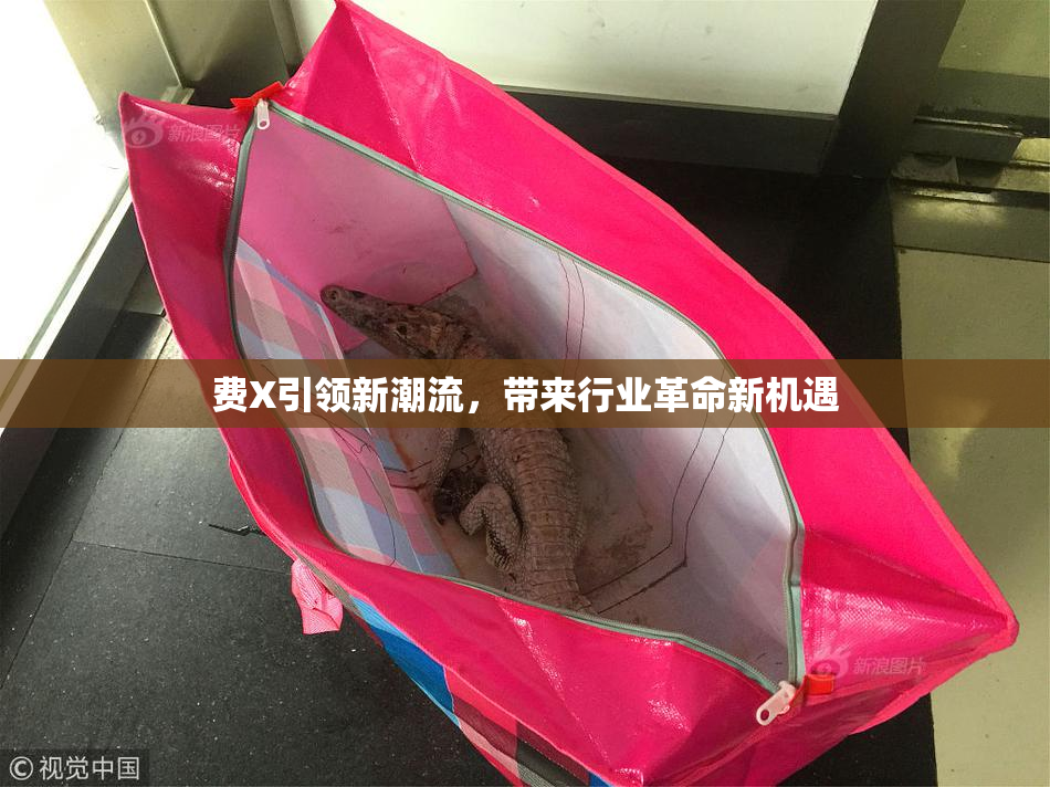 费X引领新潮流，带来行业革命新机遇