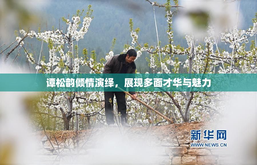 谭松韵倾情演绎，展现多面才华与魅力