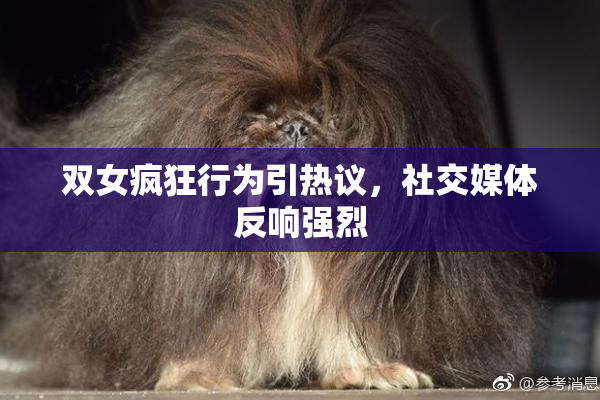 双女疯狂行为引热议，社交媒体反响强烈