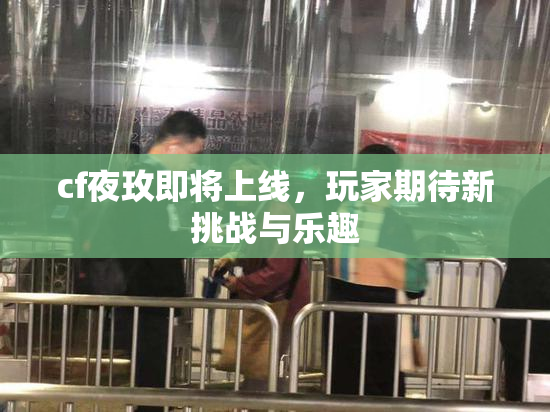 cf夜玫即将上线，玩家期待新挑战与乐趣