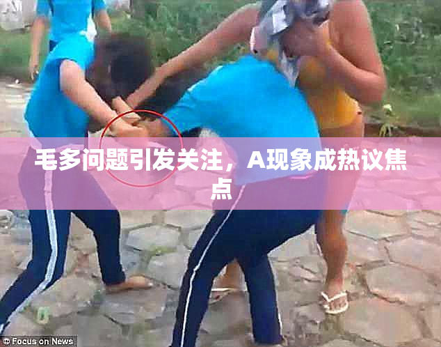 毛多问题引发关注，A现象成热议焦点