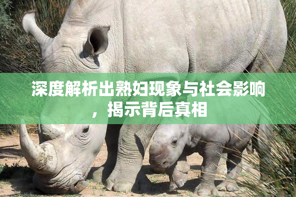 深度解析出熟妇现象与社会影响，揭示背后真相