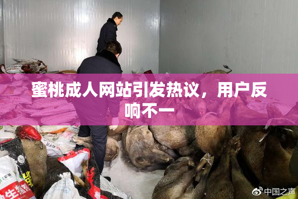 蜜桃成人网站引发热议，用户反响不一