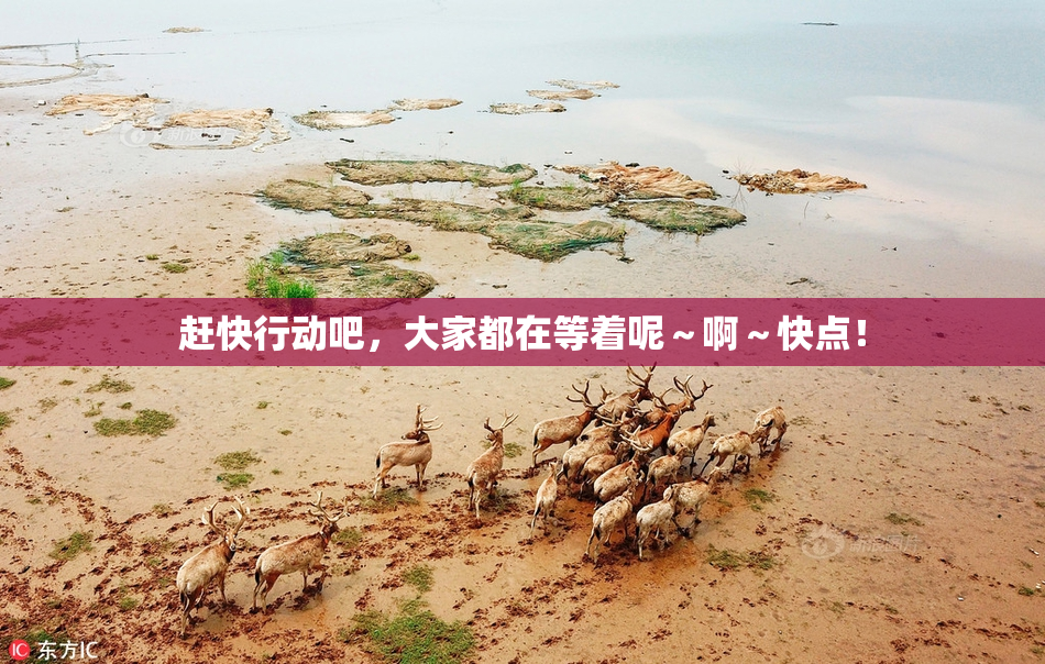 赶快行动吧，大家都在等着呢～啊～快点！