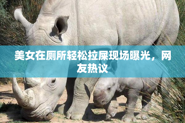 美女在厕所轻松拉屎现场曝光，网友热议