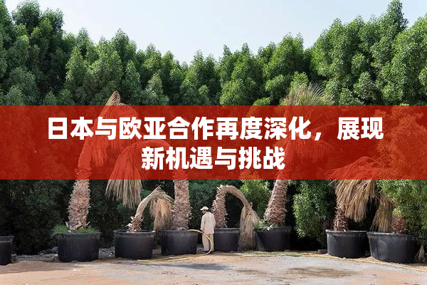 日本与欧亚合作再度深化，展现新机遇与挑战