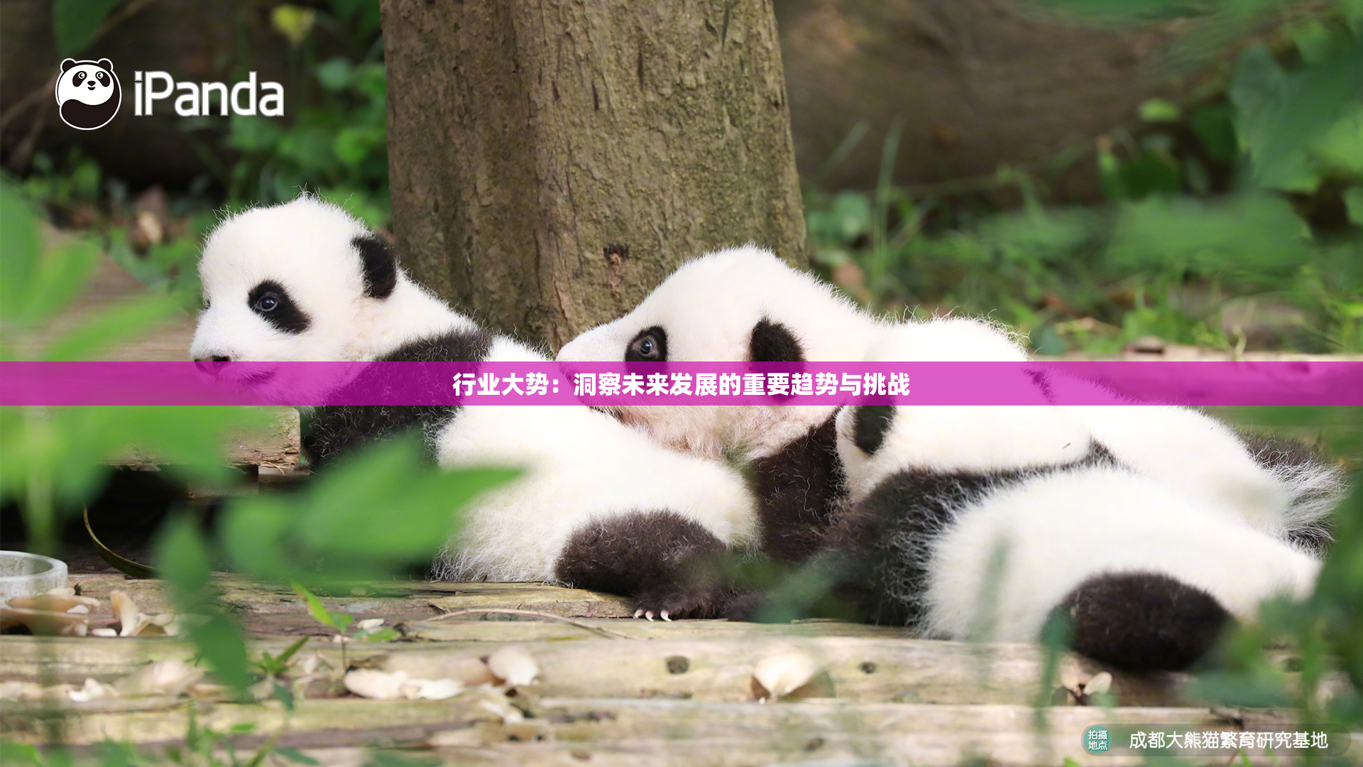 行业大势：洞察未来发展的重要趋势与挑战