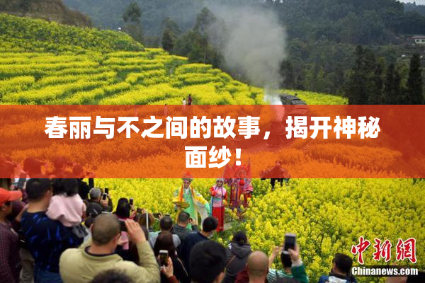 春丽与不之间的故事，揭开神秘面纱！