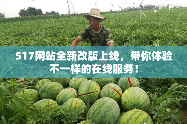 517网站全新改版上线，带你体验不一样的在线服务！