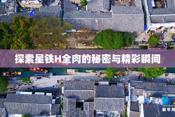 探索星铁H全肉的秘密与精彩瞬间
