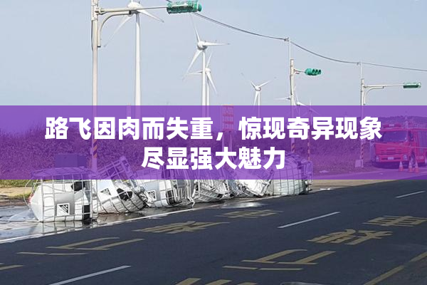 路飞因肉而失重，惊现奇异现象尽显强大魅力