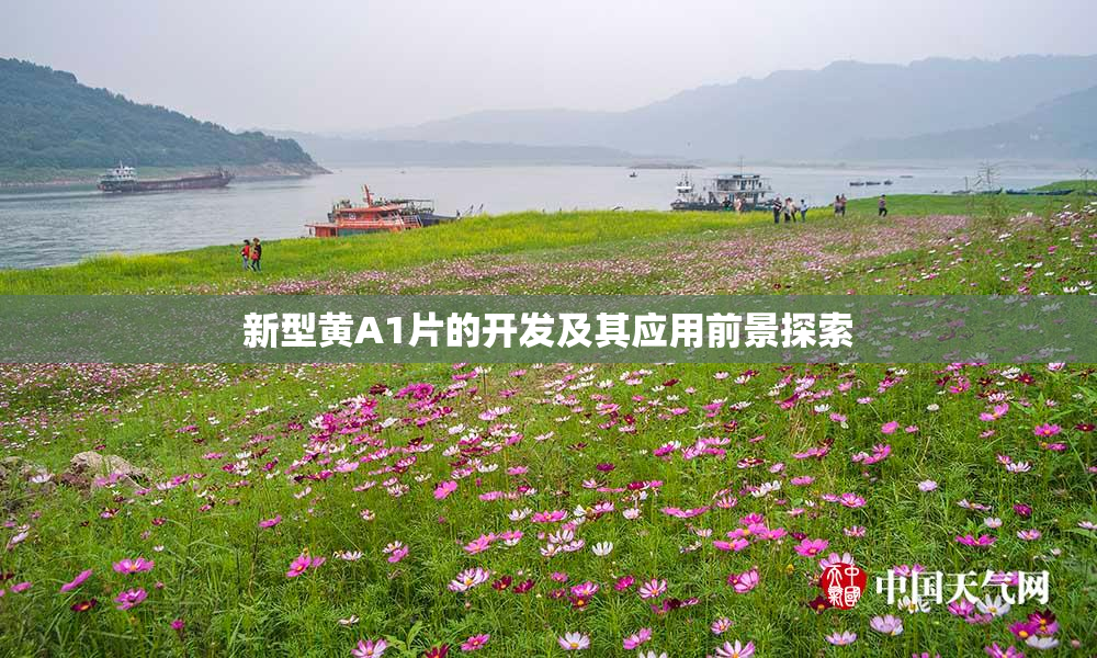 新型黄A1片的开发及其应用前景探索