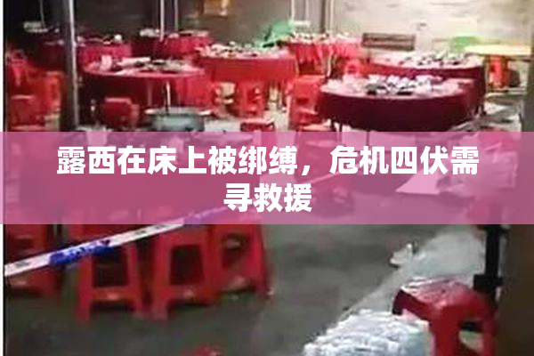 露西在床上被绑缚，危机四伏需寻救援