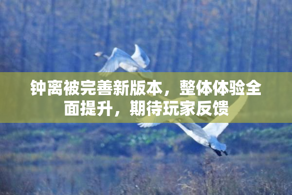 钟离被完善新版本，整体体验全面提升，期待玩家反馈