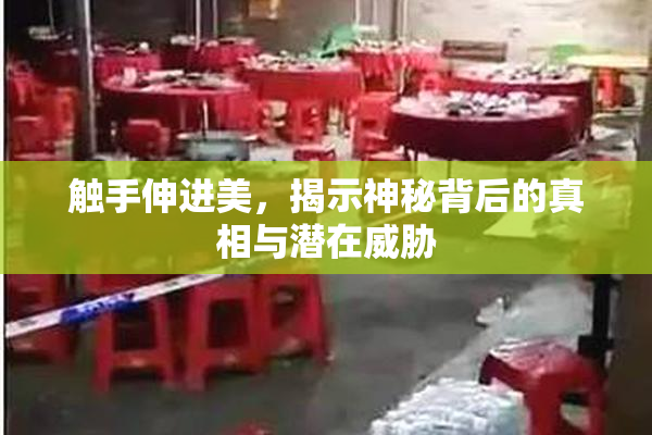 触手伸进美，揭示神秘背后的真相与潜在威胁