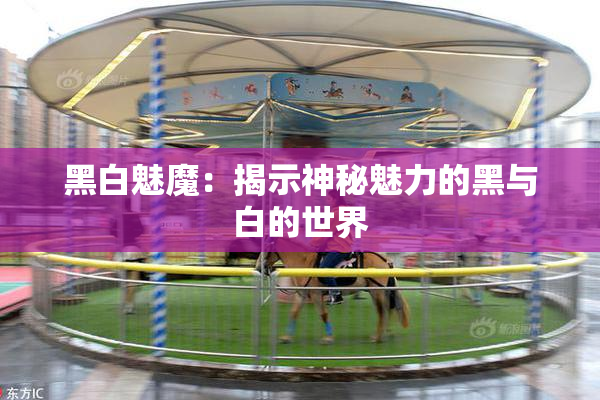 黑白魅魔：揭示神秘魅力的黑与白的世界
