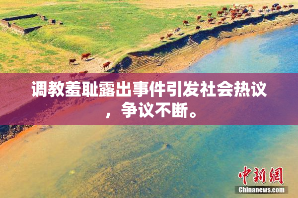 调教羞耻露出事件引发社会热议，争议不断。