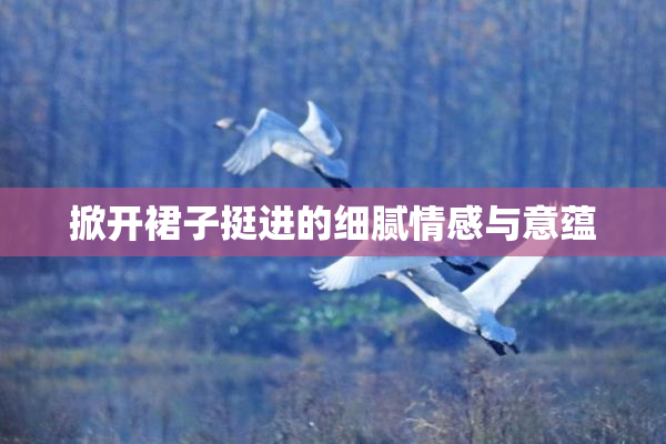 掀开裙子挺进的细腻情感与意蕴