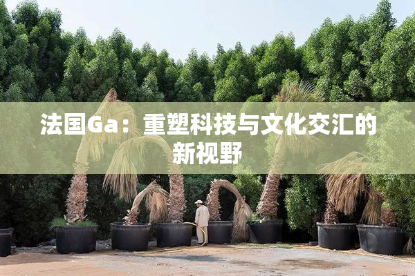 法国Ga：重塑科技与文化交汇的新视野