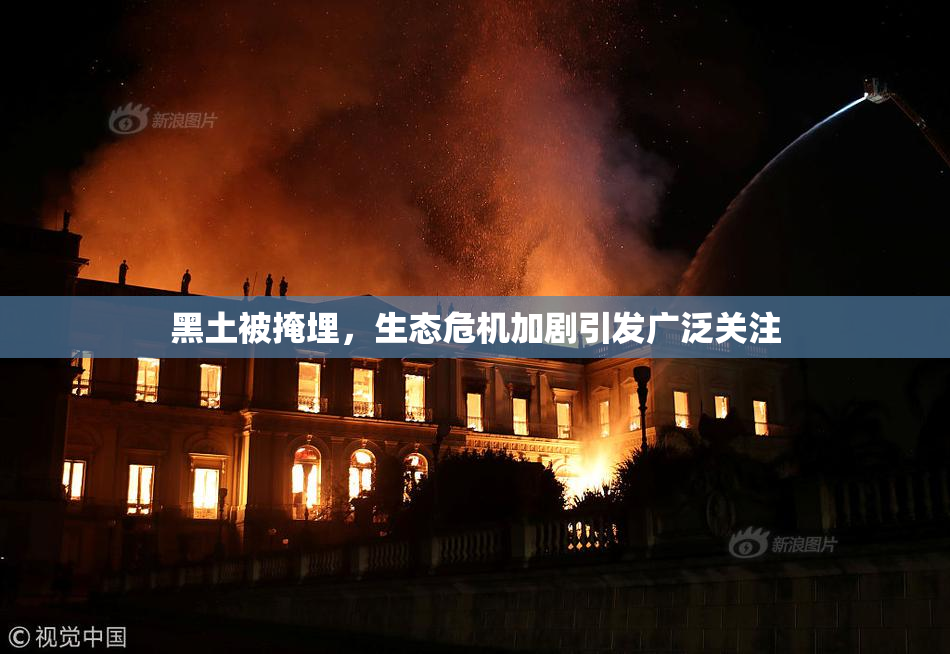 黑土被掩埋，生态危机加剧引发广泛关注