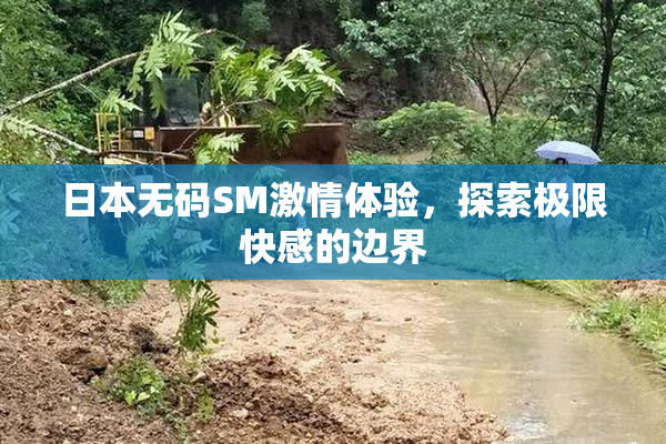 日本无码SM激情体验，探索极限快感的边界