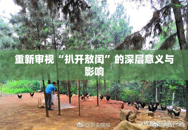 重新审视“扒开敖闰”的深层意义与影响