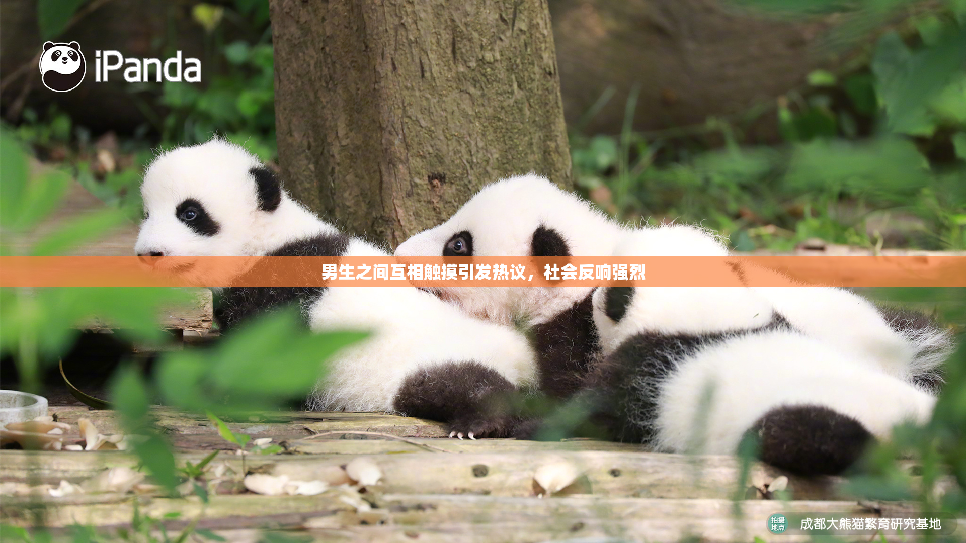 男生之间互相触摸引发热议，社会反响强烈