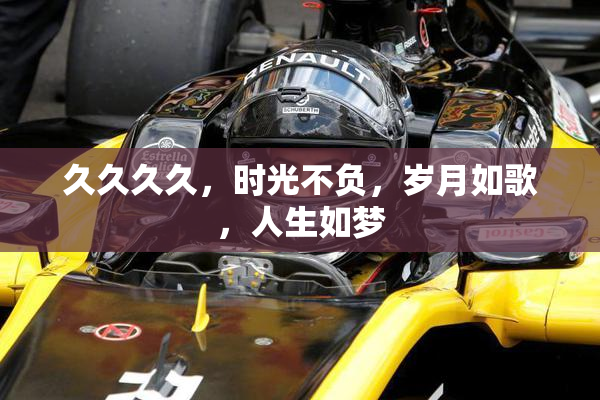 久久久久，时光不负，岁月如歌，人生如梦