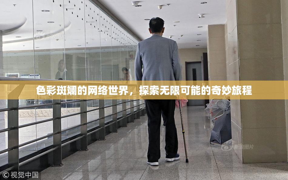 色彩斑斓的网络世界，探索无限可能的奇妙旅程