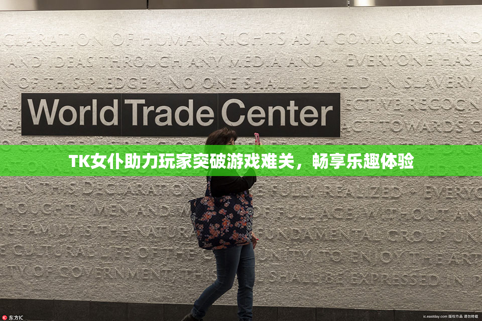 TK女仆助力玩家突破游戏难关，畅享乐趣体验