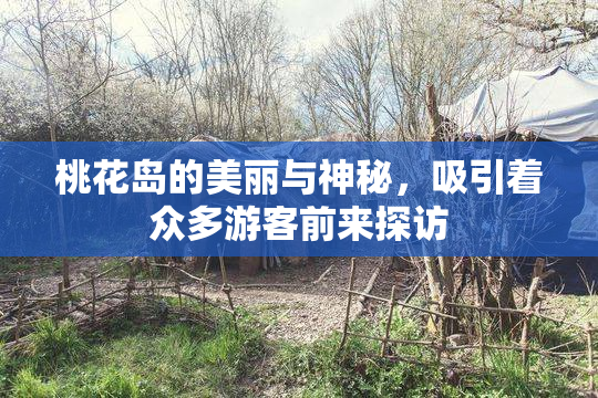桃花岛的美丽与神秘，吸引着众多游客前来探访