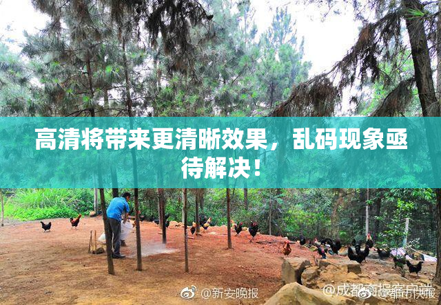 高清将带来更清晰效果，乱码现象亟待解决！