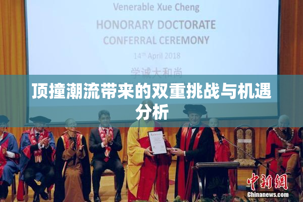 顶撞潮流带来的双重挑战与机遇分析