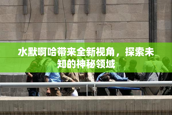 水默啊哈带来全新视角，探索未知的神秘领域