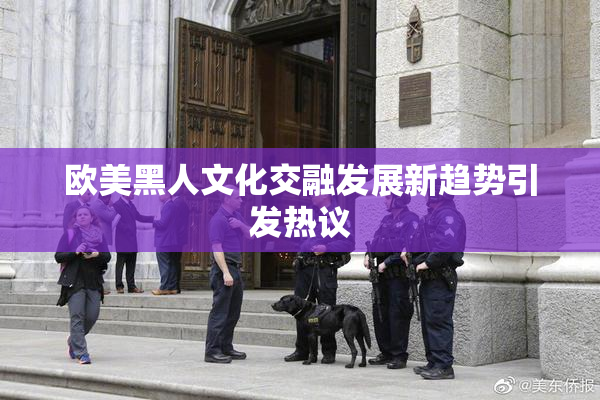 欧美黑人文化交融发展新趋势引发热议