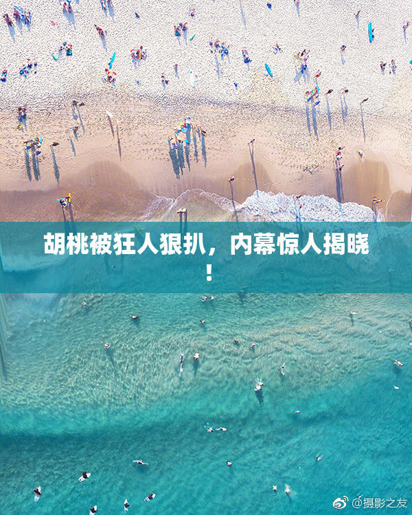 胡桃被狂人狠扒，内幕惊人揭晓！