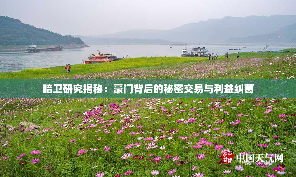 暗卫研究揭秘：豪门背后的秘密交易与利益纠葛