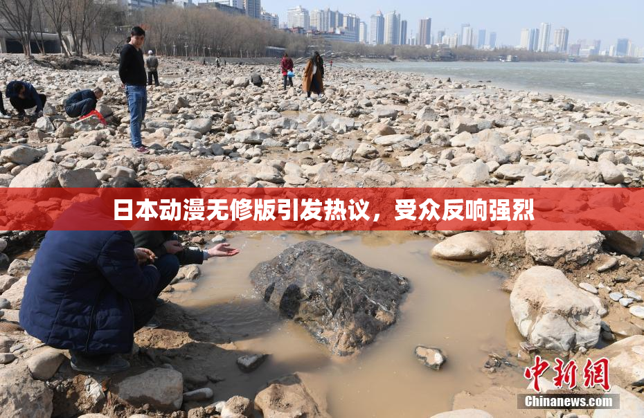日本动漫无修版引发热议，受众反响强烈