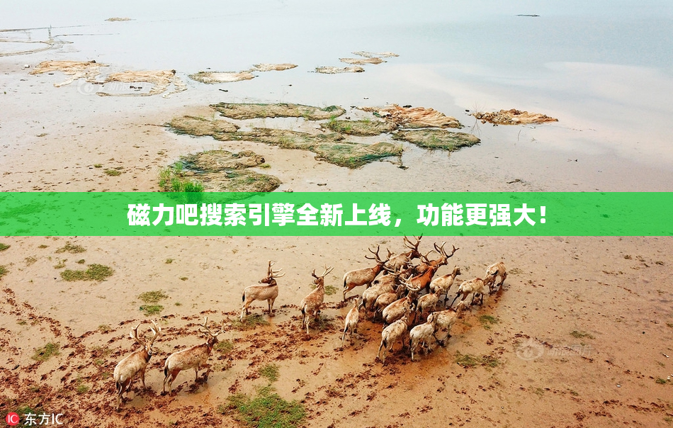 磁力吧搜索引擎全新上线，功能更强大！