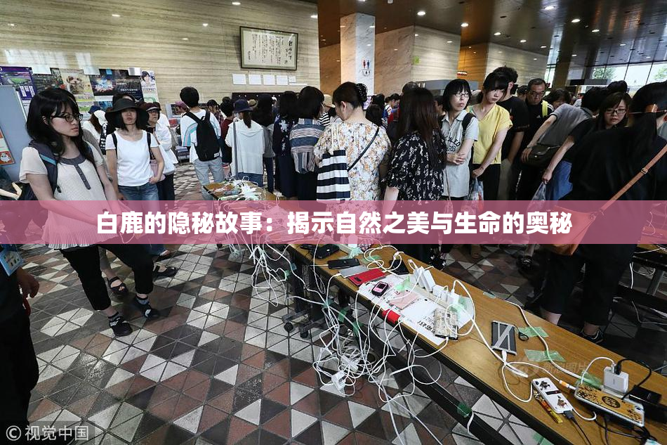 白鹿的隐秘故事：揭示自然之美与生命的奥秘