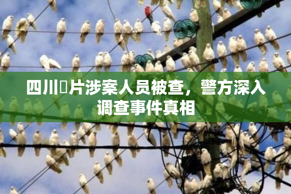 四川婬片涉案人员被查，警方深入调查事件真相