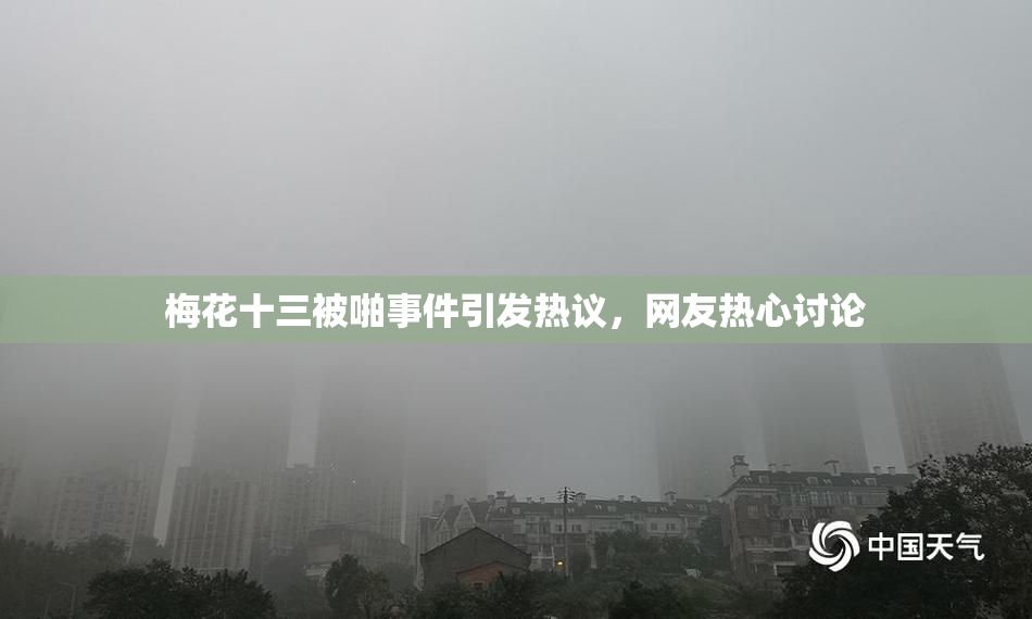 梅花十三被啪事件引发热议，网友热心讨论
